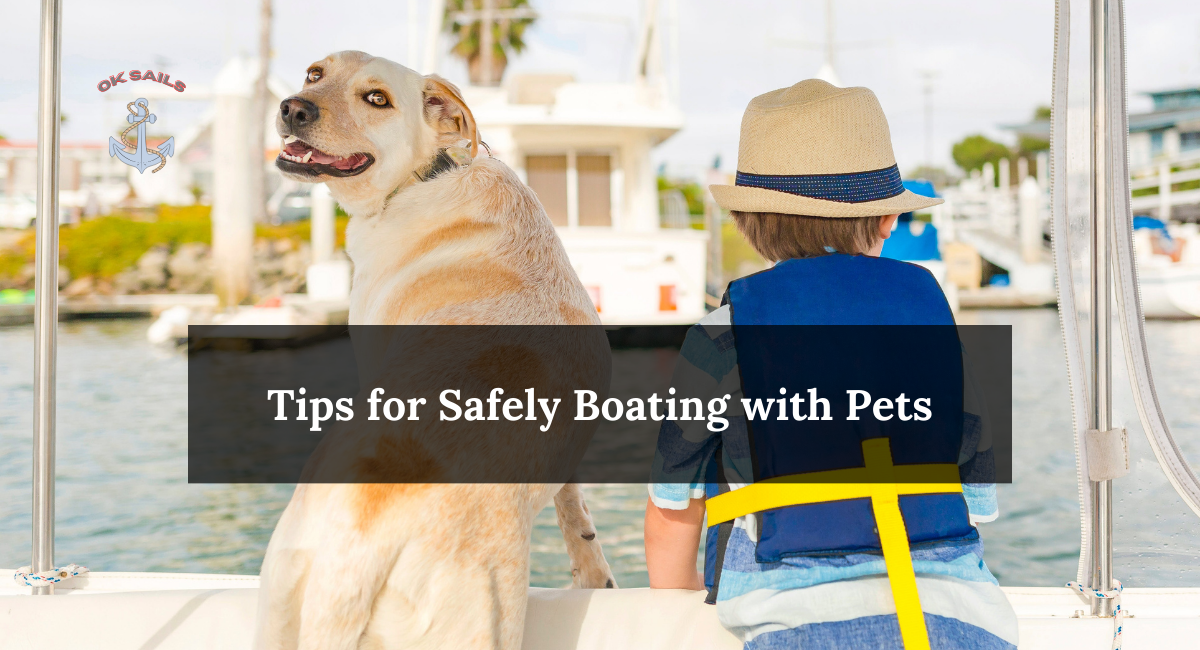 Tips for Safely Boating with Pets